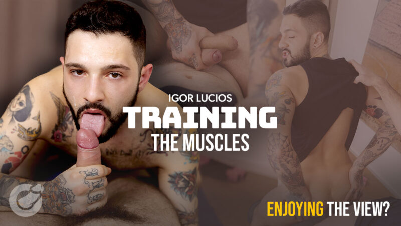 Training The Muscles